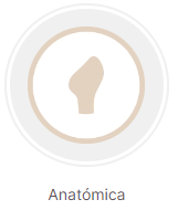Tetina Anatómica