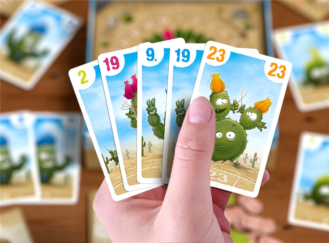 Rey Cactus Haba - Imagen 3