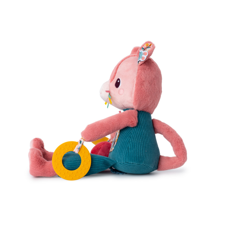 Jeanne el Gato multiactividad - Imagen 6