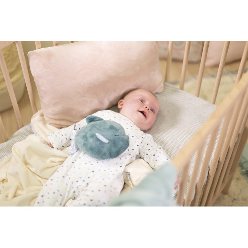 Pequeño Pez de peluche Tranquilizante 14 CM Kaloo - Imagen 4