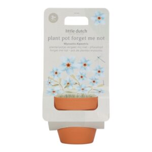 Maceta Planta No me Olvides Little Dutch