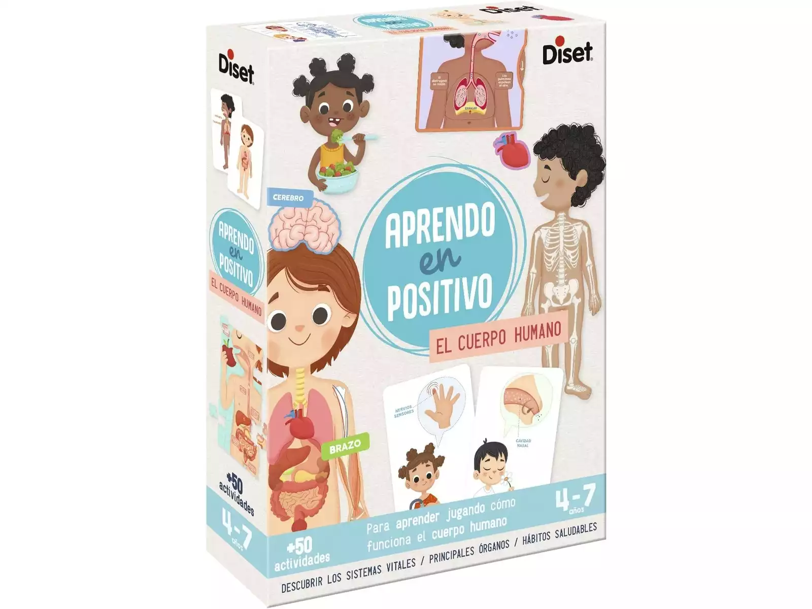 Aprendo en positivo - El cuerpo humano