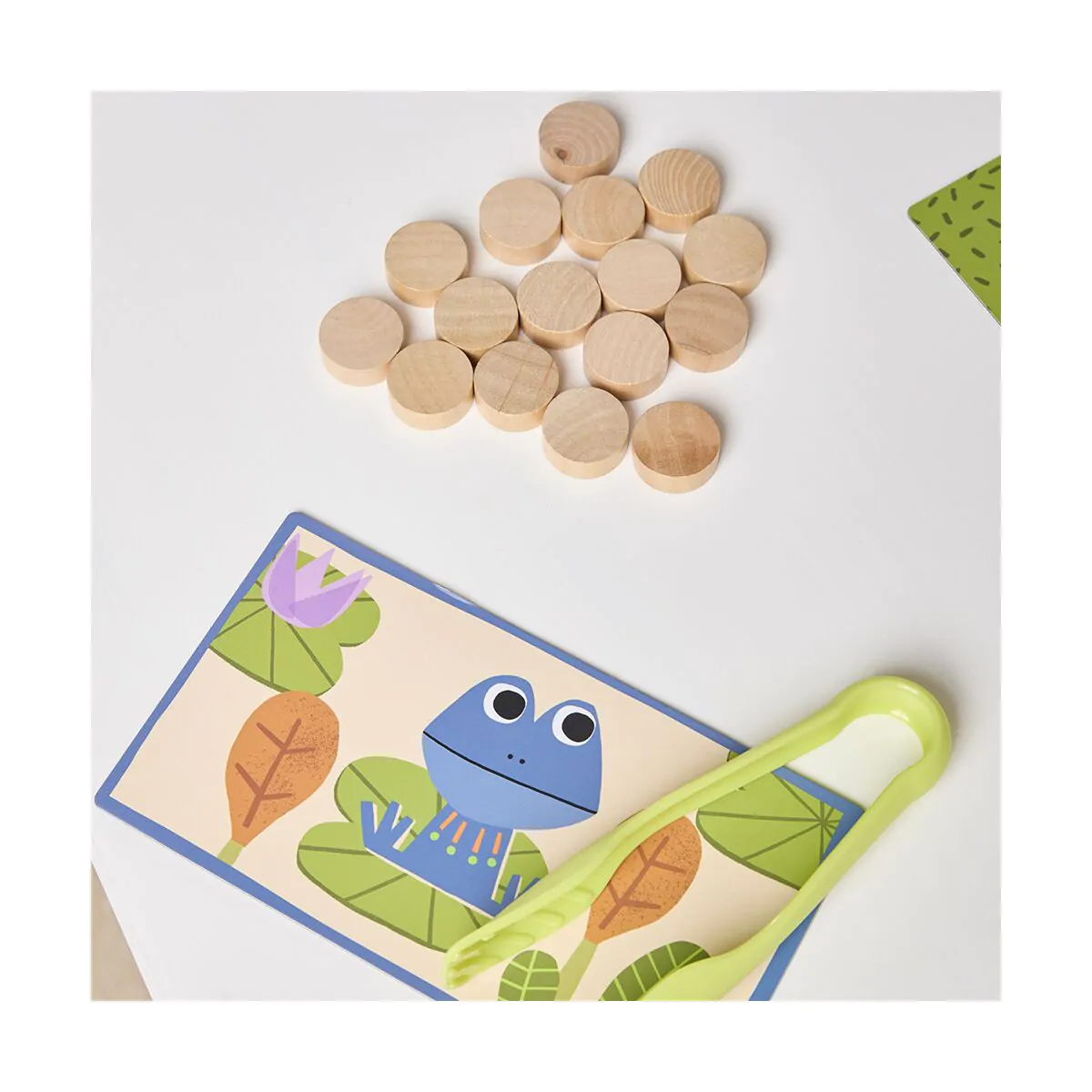 Juego de Mesa "Catch the bug" - Imagen 5