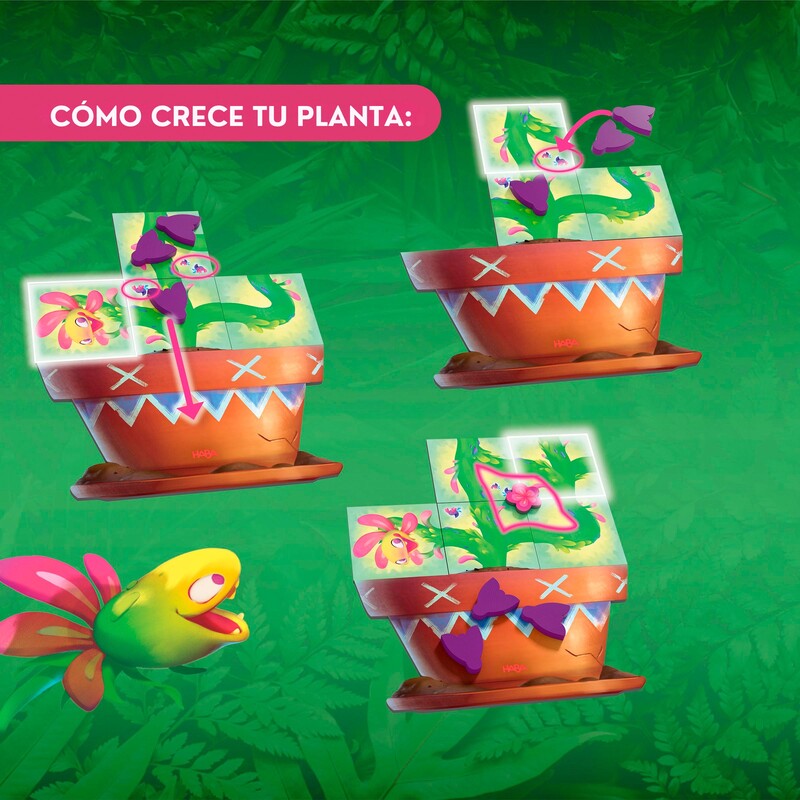 Carni Flora - Imagen 9