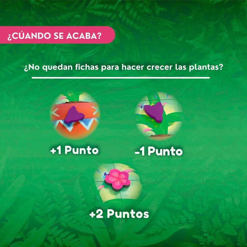 Carni Flora - Imagen 10