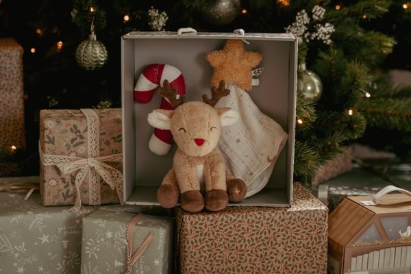 Caja Regalo Navidad Recién Nacido Little Dutch - Imagen 10