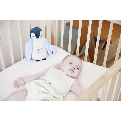 Luz Nocturna Peluche Pingüino Azul - Imagen 8