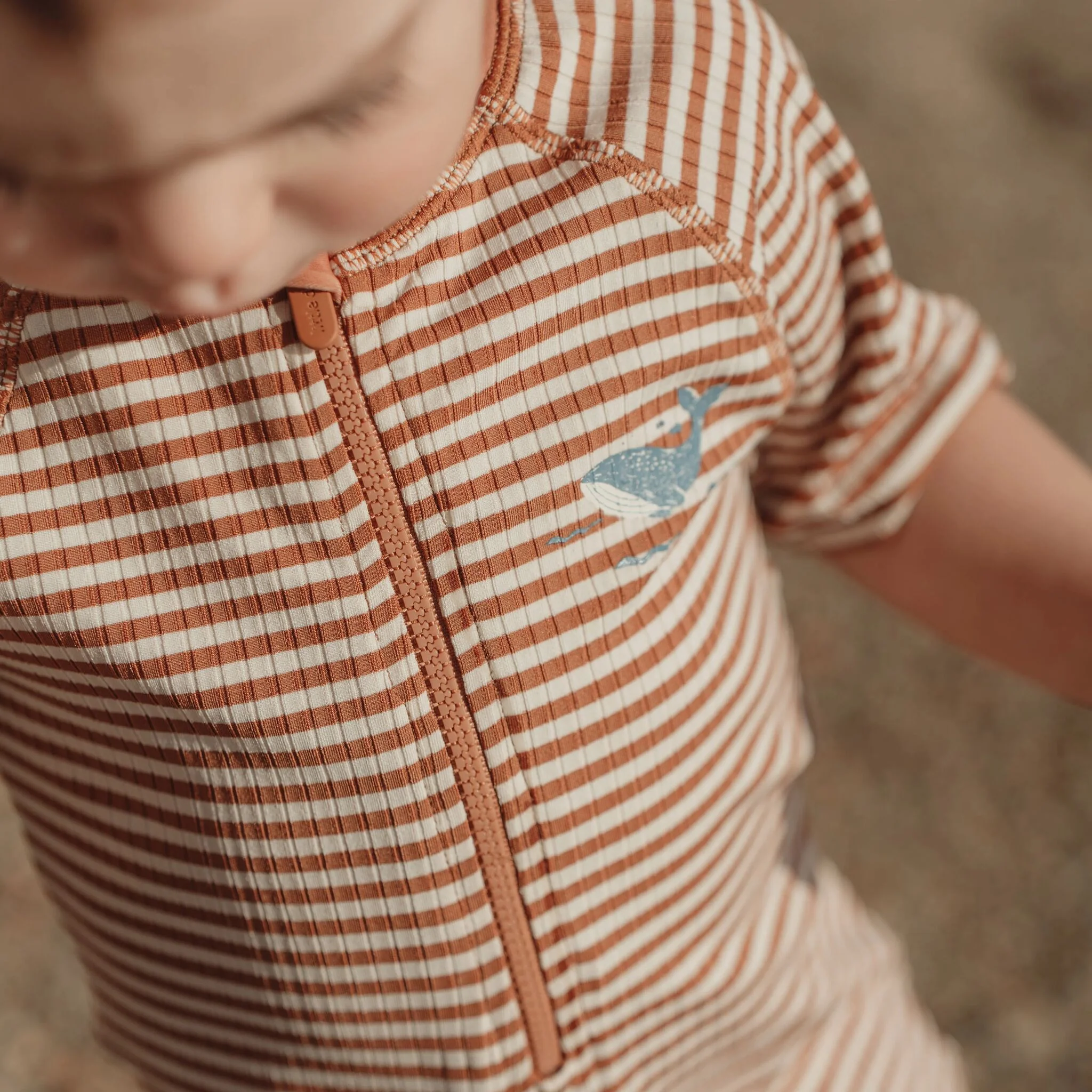 Mono Manga Corta Brown Stripe - Imagen 5