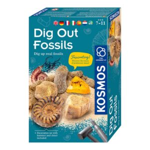 Set de Exacavación Fósiles Dig Out Fossils