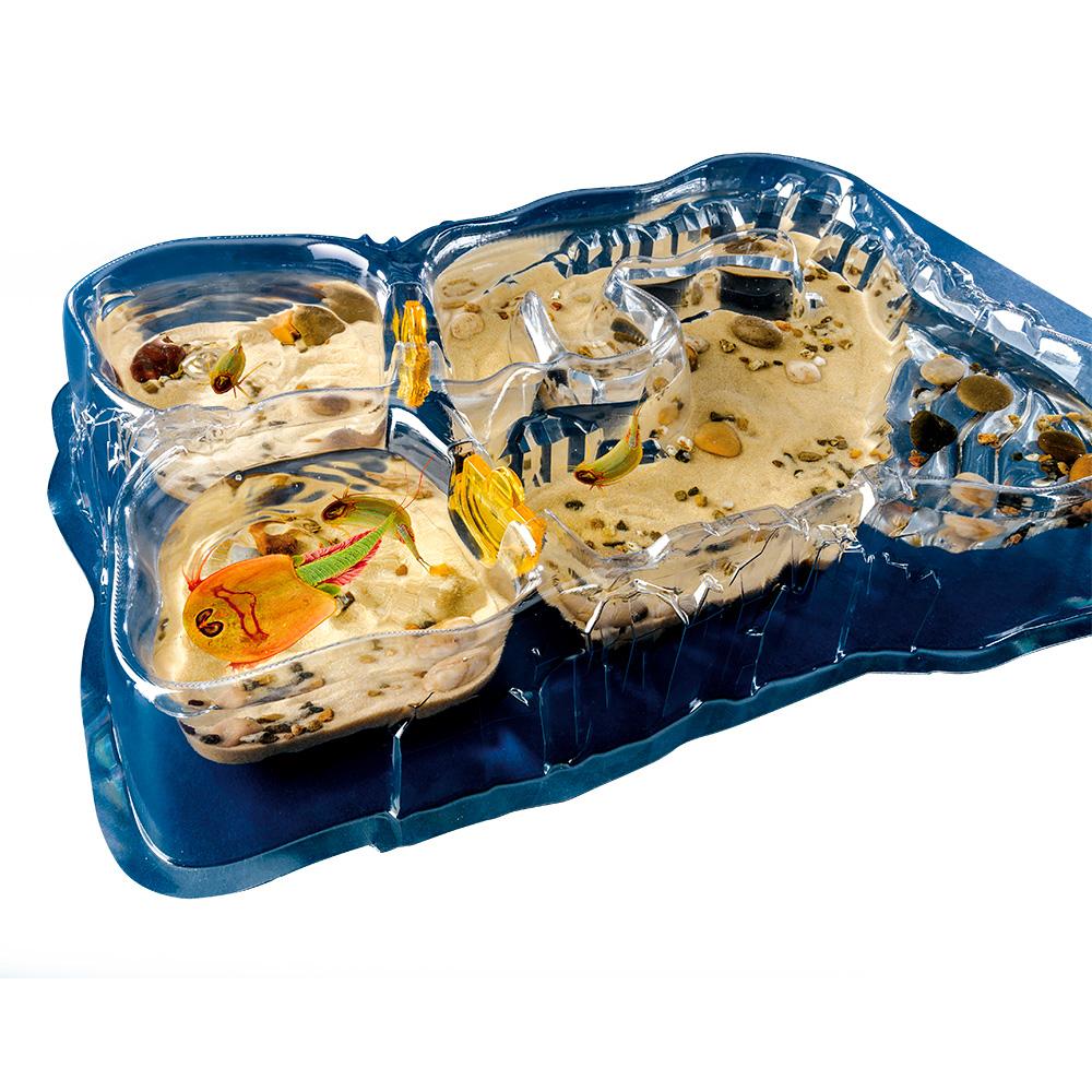 Set de Cultivo Criaturas Marinas de los Triops - Imagen 3