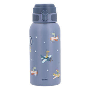 Botella de Acero Térmica Planes 500ml