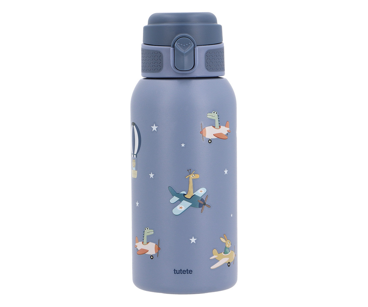 Botella de Acero Térmica Planes 500ml