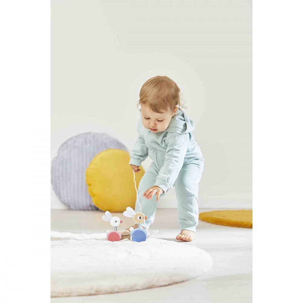 Conejitos Para Pasear - Imagen 2