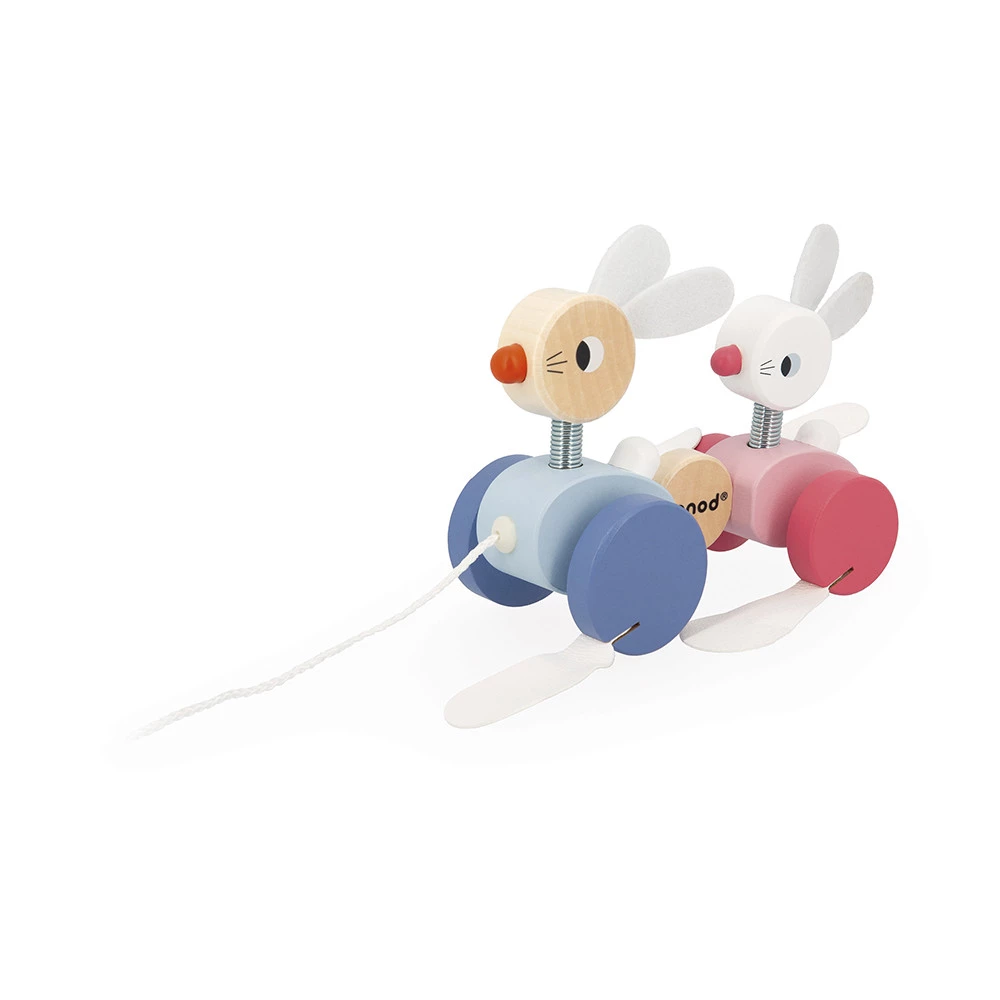 Conejitos Para Pasear - Imagen 3