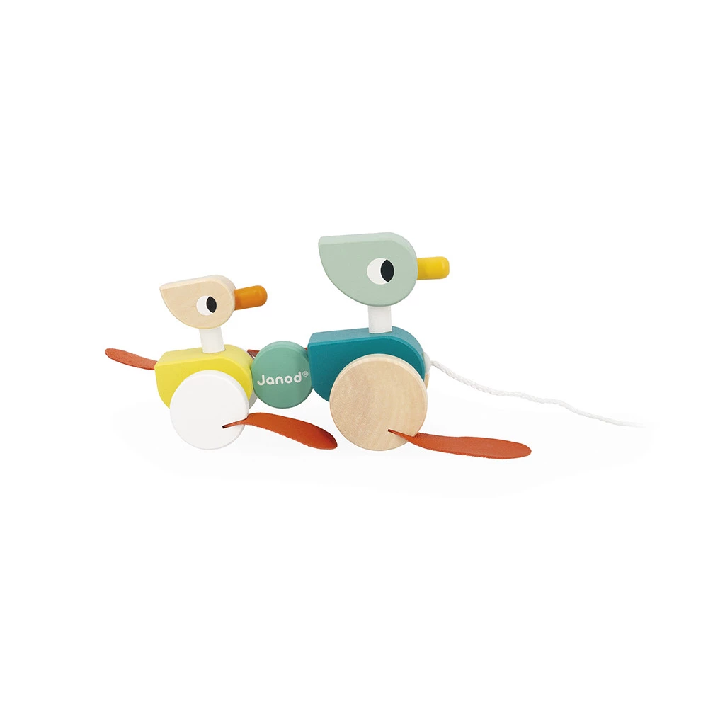 Patos Para Pasear - Imagen 3