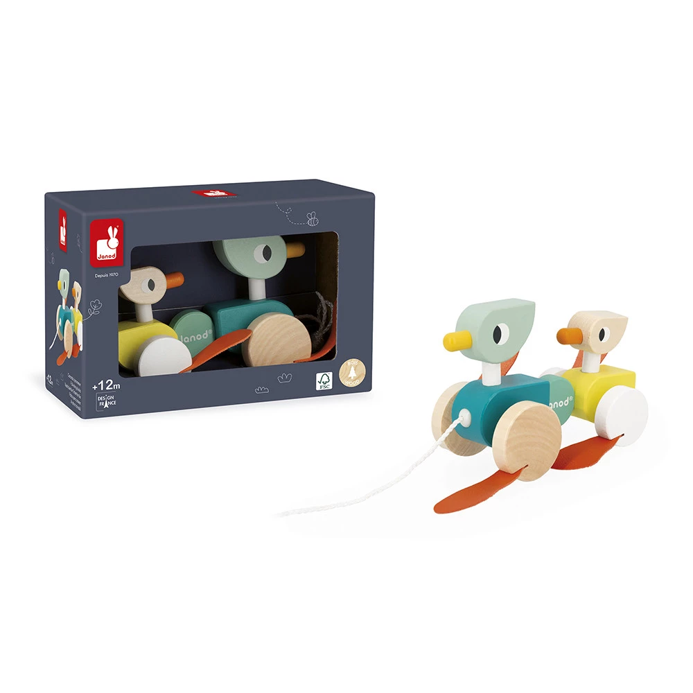 Patos Para Pasear - Imagen 4