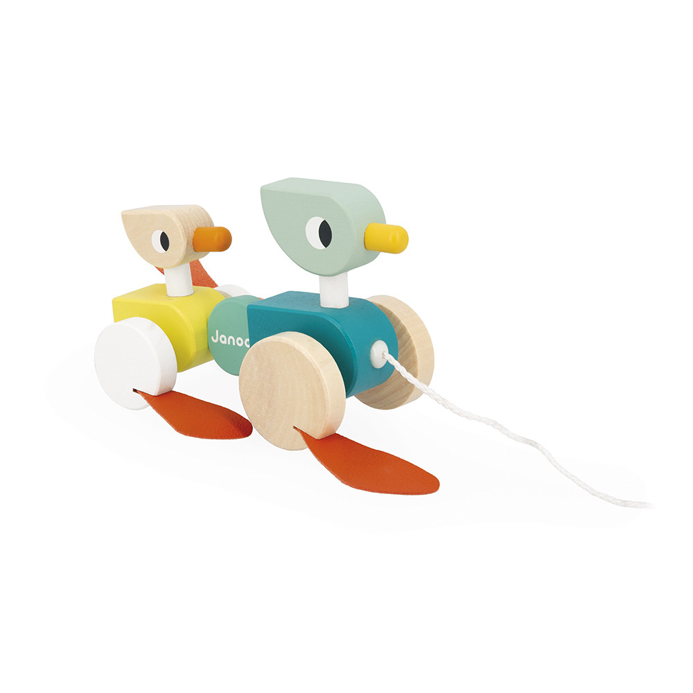 Patos Para Pasear